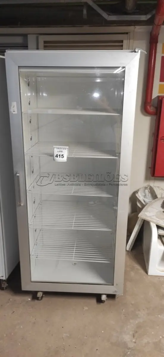 LOTE 415 - 01 GABINETE PARA BIOTÉRIO. (NO ESTADO) ATENÇÃO! FAZER A VISITAÇÃO ANTES DE ARREMATAR, NÃO SABEMOS SE FUNCIONA, LEILÃO NÃO TEM GARANTIA E NEM DEVOLUÇÃO, SUJEITO A POSSÍVEIS AVARIAS VISÍVEIS/OCULTAS E/OU AUSÊNCIA DE COMPONENTES.