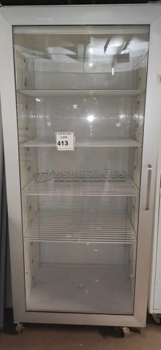 LOTE 413 - 02 GABINETES PARA BIOTÉRIO. (NO ESTADO) ATENÇÃO! FAZER A VISITAÇÃO ANTES DE ARREMATAR, NÃO SABEMOS SE FUNCIONA, LEILÃO NÃO TEM GARANTIA E NEM DEVOLUÇÃO, SUJEITO A POSSÍVEIS AVARIAS VISÍVEIS/OCULTAS E/OU AUSÊNCIA DE COMPONENTES.