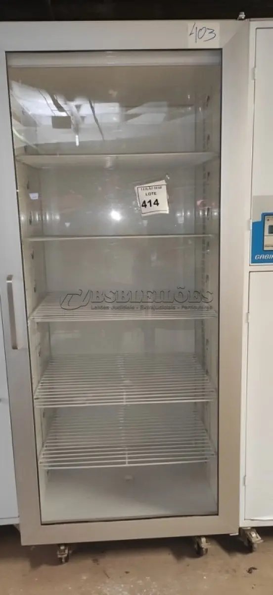 LOTE 414 - 02 GABINETES PARA BIOTÉRIO. (NO ESTADO) ATENÇÃO! FAZER A VISITAÇÃO ANTES DE ARREMATAR, NÃO SABEMOS SE FUNCIONA, LEILÃO NÃO TEM GARANTIA E NEM DEVOLUÇÃO, SUJEITO A POSSÍVEIS AVARIAS VISÍVEIS/OCULTAS E/OU AUSÊNCIA DE COMPONENTES.