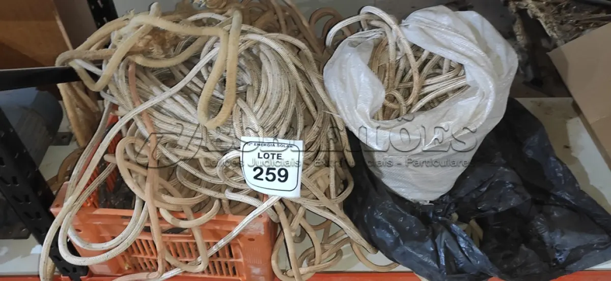 LOTE 259 - 01 LOTE COM CORDAS DIVERSAS. (NO ESTADO) ATENÇÃO! FAZER A VISITAÇÃO ANTES DE ARREMATAR, NÃO SABEMOS SE FUNCIONA, LEILÃO NÃO TEM GARANTIA E NEM DEVOLUÇÃO, SUJEITO A POSSÍVEIS AVARIAS VISÍVEIS/OCULTAS E/OU 