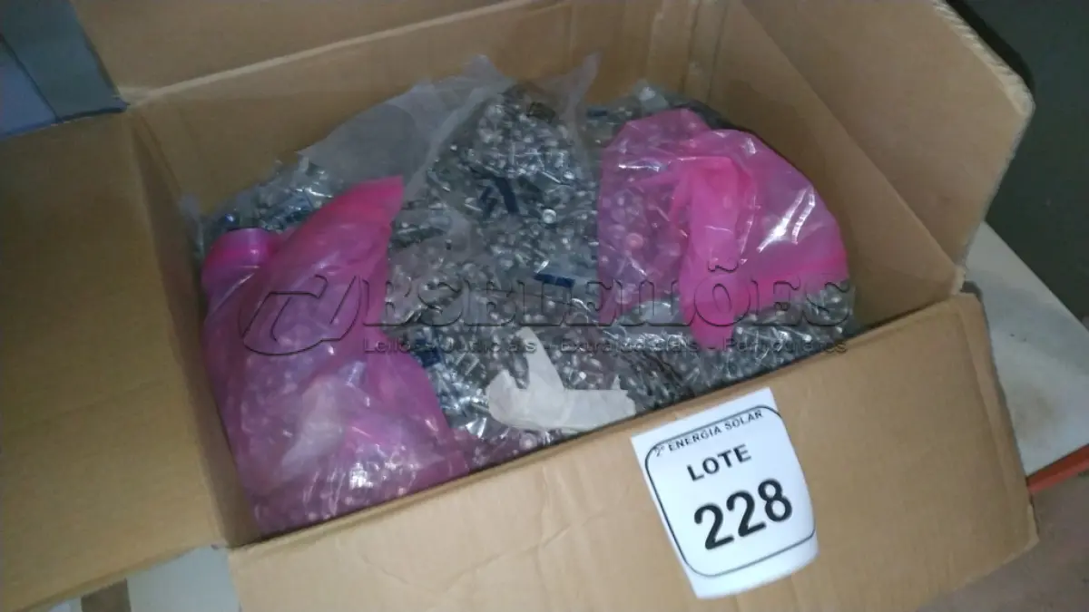 LOTE 228 - 01 CAIXA COM APROXIMADAMENTE 1.900 PARAFUSOS SEXTAVADO 5X25. (NO ESTADO) ATENÇÃO! FAZER A VISITAÇÃO ANTES DE ARREMATAR, NÃO SABEMOS SE FUNCIONA, LEILÃO NÃO TEM GARANTIA E NEM DEVOLUÇÃO, SUJEITO A POSSÍVEIS AVARIAS VISÍVEIS/OCULTAS E/OU 