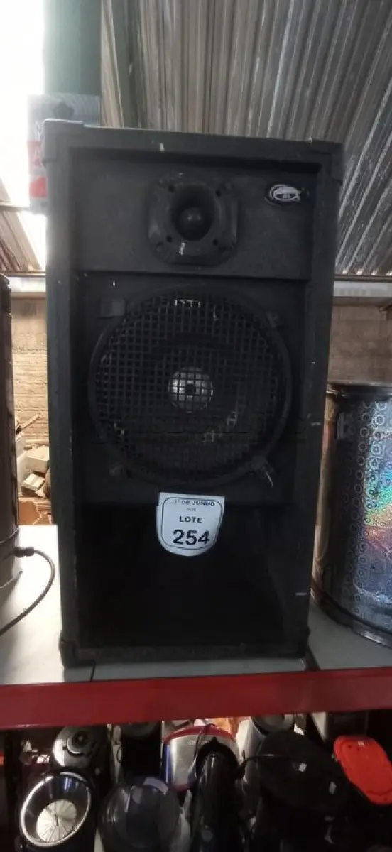 LOTE 254 - 01 CAIXA DE SOM ALTO FALANTE. (NO ESTADO) ATENÇÃO! FAZER A VISITAÇÃO ANTES DE ARREMATAR, NÃO SABEMOS SE FUNCIONA, LEILÃO NÃO TEM GARANTIA E NEM DEVOLUÇÃO, SUJEITO A POSSÍVEIS AVARIAS VISÍVEIS/OCULTAS E/OU AUSÊNCIA DE COMPONENTES.