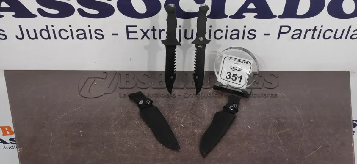 LOTE 351 - 02 FACAS TÁTICAS MILITAR 30CM COM BAINHA DE NYLON. (NO ESTADO) ATENÇÃO! FAZER A VISITAÇÃO ANTES DE ARREMATAR, NÃO SABEMOS SE FUNCIONA, LEILÃO NÃO TEM GARANTIA E NEM DEVOLUÇÃO, SUJEITO A POSSÍVEIS AVARIAS VISÍVEIS/OCULTAS E/OU AUSÊNCIA DE COMPONENTES.