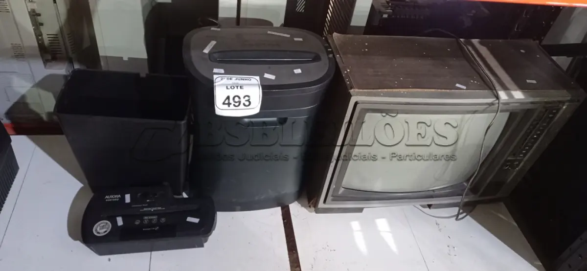 LOTE 493