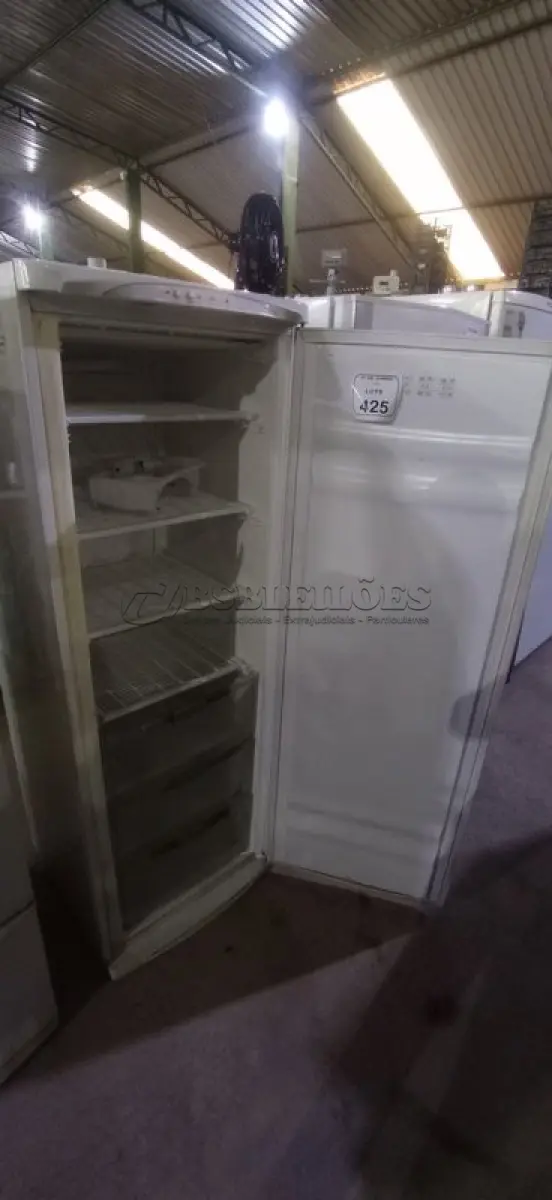 LOTE 425 - 01 FREEZER 230L 110V MARCA BOSCH. (NO ESTADO) ATENÇÃO! FAZER A VISITAÇÃO ANTES DE ARREMATAR, NÃO SABEMOS SE FUNCIONA, LEILÃO NÃO TEM GARANTIA E NEM DEVOLUÇÃO, SUJEITO A POSSÍVEIS AVARIAS VISÍVEIS/OCULTAS E/OU AUSÊNCIA DE COMPONENTES.