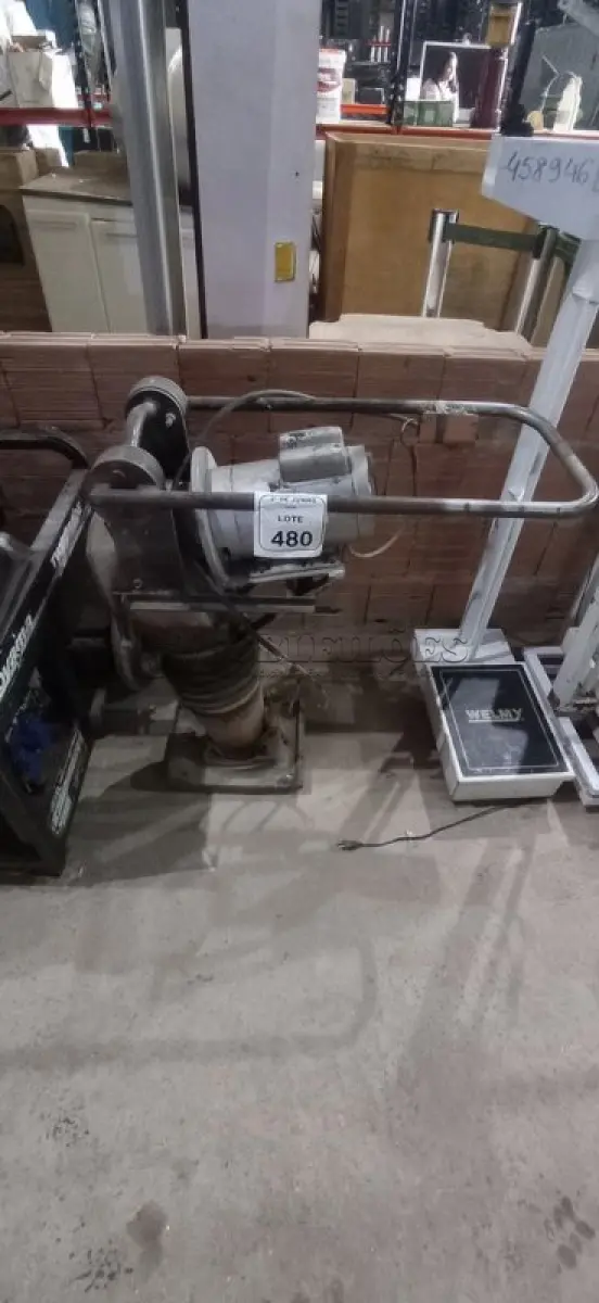 LOTE 481