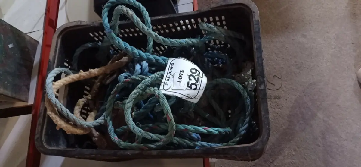 LOTE 529 - 01 LOTE COM VÁRIAS CORDAS COM GANCHO TRAVAQUEDAS. (NO ESTADO) ATENÇÃO! FAZER A VISITAÇÃO ANTES DE ARREMATAR, NÃO SABEMOS SE FUNCIONA, LEILÃO NÃO TEM GARANTIA E NEM DEVOLUÇÃO, SUJEITO A POSSÍVEIS AVARIAS VISÍVEIS/OCULTAS E/OU AUSÊNCIA DE COMPONENTES.