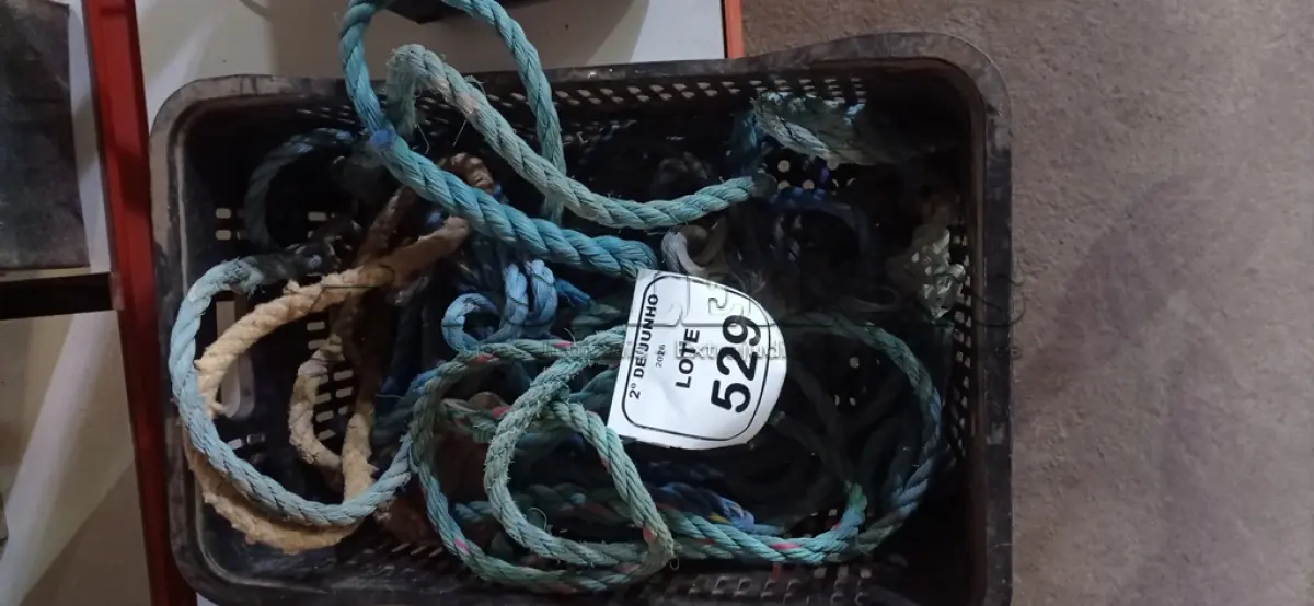 LOTE 529 - 01 LOTE COM VÁRIAS CORDAS COM GANCHO TRAVAQUEDAS. (NO ESTADO) ATENÇÃO! FAZER A VISITAÇÃO ANTES DE ARREMATAR, NÃO SABEMOS SE FUNCIONA, LEILÃO NÃO TEM GARANTIA E NEM DEVOLUÇÃO, SUJEITO A POSSÍVEIS AVARIAS VISÍVEIS/OCULTAS E/OU AUSÊNCIA DE COMPONENTES.