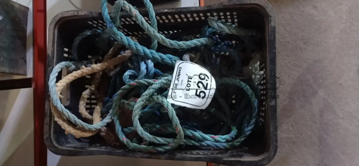 LOTE 529 - 01 LOTE COM VÁRIAS CORDAS COM GANCHO TRAVAQUEDAS. (NO ESTADO) ATENÇÃO! FAZER A VISITAÇÃO ANTES DE ARREMATAR, NÃO SABEMOS SE FUNCIONA, LEILÃO NÃO TEM GARANTIA E NEM DEVOLUÇÃO, SUJEITO A POSSÍVEIS AVARIAS VISÍVEIS/OCULTAS E/OU AUSÊNCIA DE COMPONENTES.
