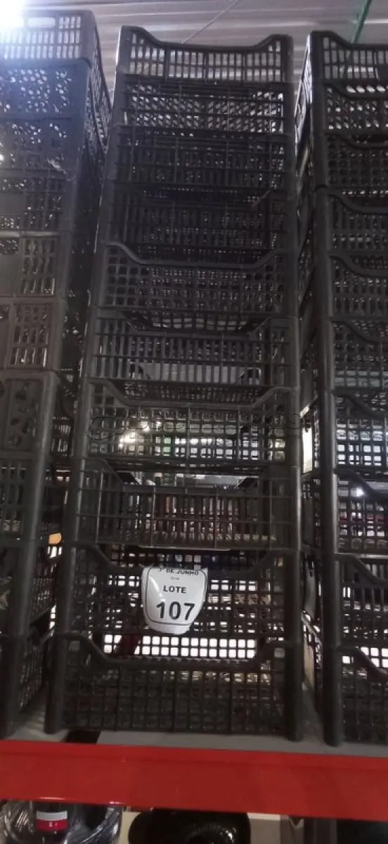 LOTE 107 - 10 CESTAS ORGANIZADORAS. (NO ESTADO) ATENÇÃO! FAZER A VISITAÇÃO ANTES DE ARREMATAR, NÃO SABEMOS SE FUNCIONA, LEILÃO NÃO TEM GARANTIA E NEM DEVOLUÇÃO, SUJEITO A POSSÍVEIS AVARIAS VISÍVEIS/OCULTAS E/OU AUSÊNCIA DE COMPONENTES.