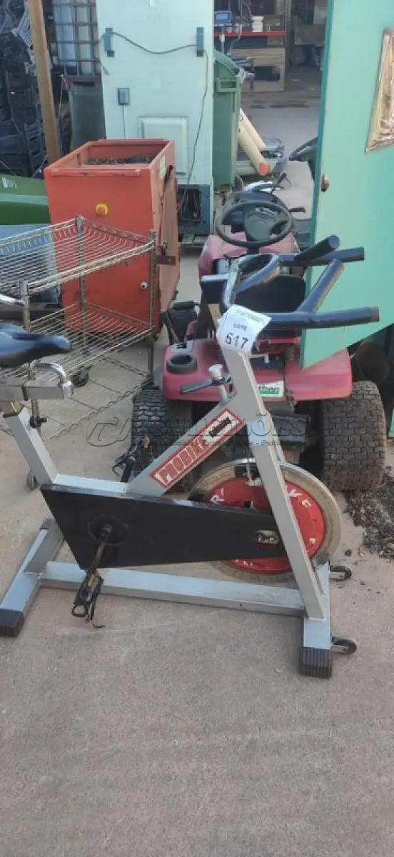 LOTE 517 - 01 PROBIKE SPINNING. (NO ESTADO) ATENÇÃO! FAZER A VISITAÇÃO ANTES DE ARREMATAR, NÃO SABEMOS SE FUNCIONA, LEILÃO NÃO TEM GARANTIA E NEM DEVOLUÇÃO, SUJEITO A POSSÍVEIS AVARIAS VISÍVEIS/OCULTAS E/OU AUSÊNCIA DE COMPONENTES.