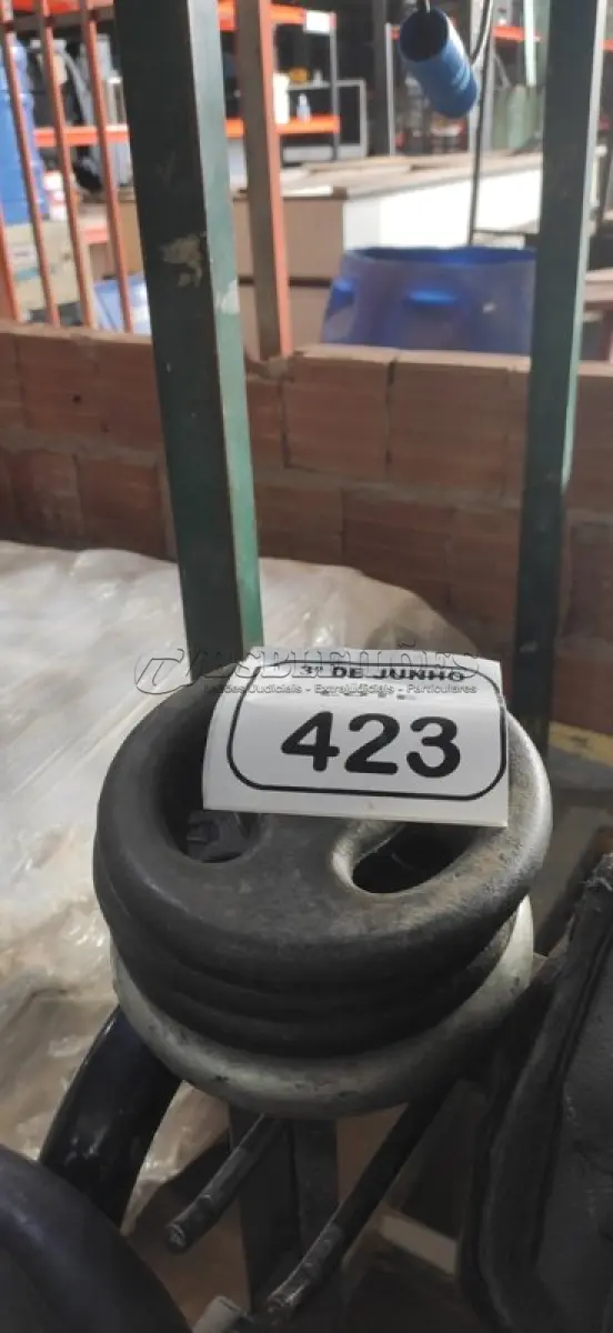 LOTE 423 - 04 ANILHAS DE 2KG. (NO ESTADO) ATENÇÃO! FAZER A VISITAÇÃO ANTES DE ARREMATAR, NÃO SABEMOS SE FUNCIONA, LEILÃO NÃO TEM GARANTIA E NEM DEVOLUÇÃO, SUJEITO A POSSÍVEIS AVARIAS VISÍVEIS/OCULTAS E/OU AUSÊNCIA DE COMPONENTES.
