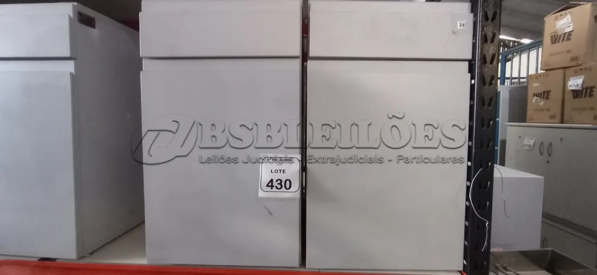 LOTE 430 - 02 ARMÁRIOS PARA CPU COM 01 PORTA E 01 GAVETA. (NO ESTADO) ATENÇÃO! FAZER A VISITAÇÃO ANTES DE ARREMATAR, NÃO SABEMOS SE FUNCIONA, LEILÃO NÃO TEM GARANTIA E NEM DEVOLUÇÃO, SUJEITO A POSSÍVEIS AVARIAS VISÍVEIS/OCULTAS E/OU AUSÊNCIA DE COMPONENTES.