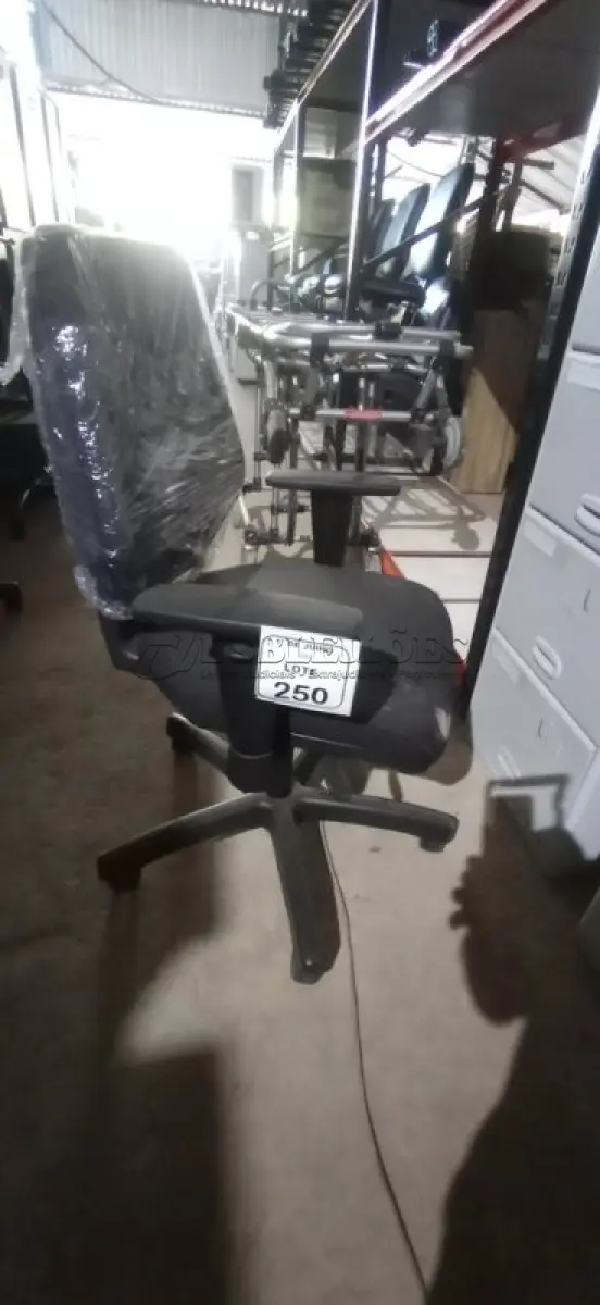 LOTE 250 - 01 CADEIRA DE ESCRITÓRIO GIRATÓRIA. (NO ESTADO) ATENÇÃO! FAZER A VISITAÇÃO ANTES DE ARREMATAR, NÃO SABEMOS SE FUNCIONA, LEILÃO NÃO TEM GARANTIA E NEM DEVOLUÇÃO, SUJEITO A POSSÍVEIS AVARIAS VISÍVEIS/OCULTAS E/OU AUSÊNCIA DE COMPONENTES.