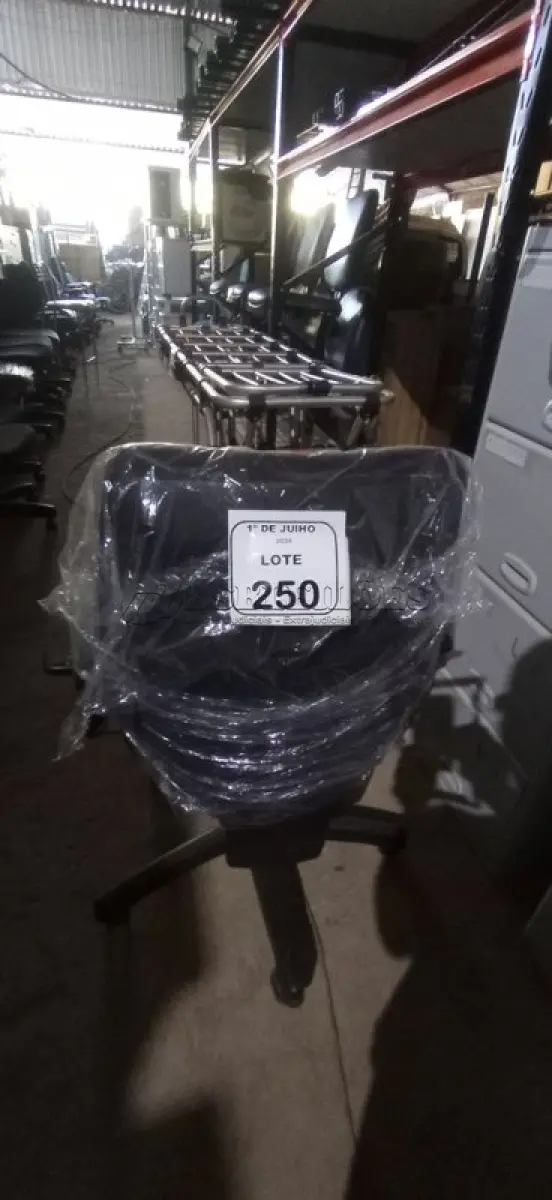 LOTE 250 - 01 CADEIRA DE ESCRITÓRIO GIRATÓRIA. (NO ESTADO) ATENÇÃO! FAZER A VISITAÇÃO ANTES DE ARREMATAR, NÃO SABEMOS SE FUNCIONA, LEILÃO NÃO TEM GARANTIA E NEM DEVOLUÇÃO, SUJEITO A POSSÍVEIS AVARIAS VISÍVEIS/OCULTAS E/OU AUSÊNCIA DE COMPONENTES.