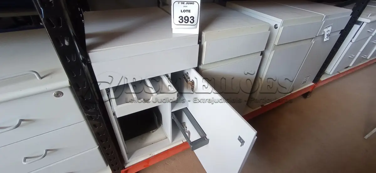 LOTE 393 - 02 ARMÁRIOS PARA CPU COM 01 PORTA E 01 GAVETA. (NO ESTADO) ATENÇÃO! FAZER A VISITAÇÃO ANTES DE ARREMATAR, NÃO SABEMOS SE FUNCIONA, LEILÃO NÃO TEM GARANTIA E NEM DEVOLUÇÃO, SUJEITO A POSSÍVEIS AVARIAS VISÍVEIS/OCULTAS E/OU AUSÊNCIA DE COMPONENTES.