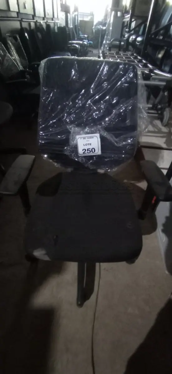 LOTE 250 - 01 CADEIRA DE ESCRITÓRIO GIRATÓRIA. (NO ESTADO) ATENÇÃO! FAZER A VISITAÇÃO ANTES DE ARREMATAR, NÃO SABEMOS SE FUNCIONA, LEILÃO NÃO TEM GARANTIA E NEM DEVOLUÇÃO, SUJEITO A POSSÍVEIS AVARIAS VISÍVEIS/OCULTAS E/OU AUSÊNCIA DE COMPONENTES.