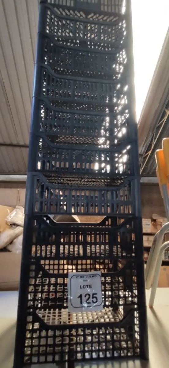 LOTE 125 - 10 CESTAS ORGANIZADORAS. (NO ESTADO) ATENÇÃO! FAZER A VISITAÇÃO ANTES DE ARREMATAR, NÃO SABEMOS SE FUNCIONA, LEILÃO NÃO TEM GARANTIA E NEM DEVOLUÇÃO, SUJEITO A POSSÍVEIS AVARIAS VISÍVEIS/OCULTAS E/OU AUSÊNCIA DE COMPONENTES.