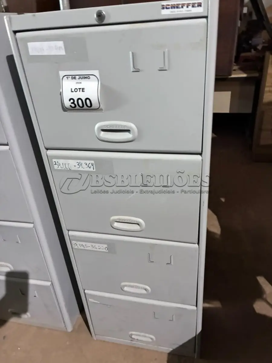 LOTE 300
