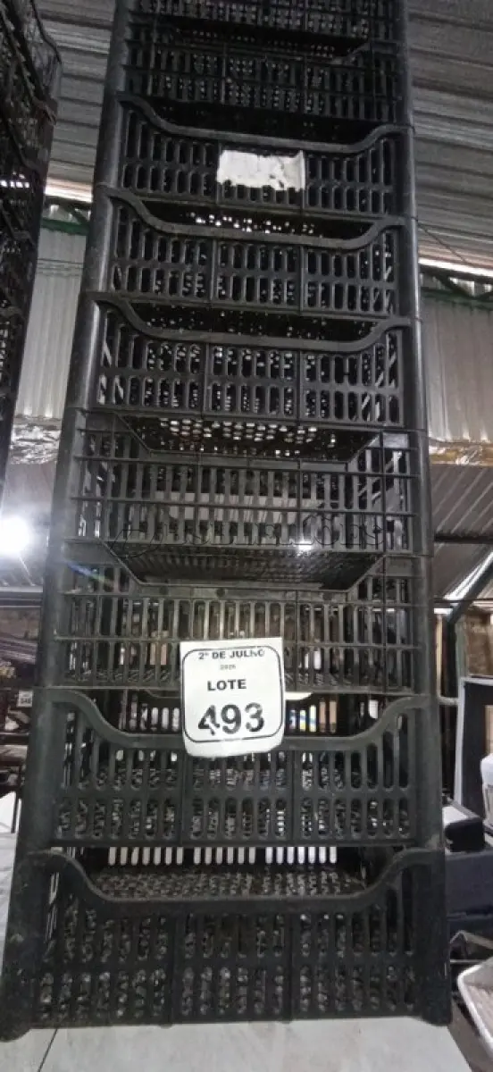 LOTE 493 - 10 CESTAS ORGANIZADORAS. (NO ESTADO) ATENÇÃO! FAZER A VISITAÇÃO ANTES DE ARREMATAR, NÃO SABEMOS SE FUNCIONA, LEILÃO NÃO TEM GARANTIA E NEM DEVOLUÇÃO, SUJEITO A POSSÍVEIS AVARIAS VISÍVEIS/OCULTAS E/OU AUSÊNCIA DE COMPONENTES.