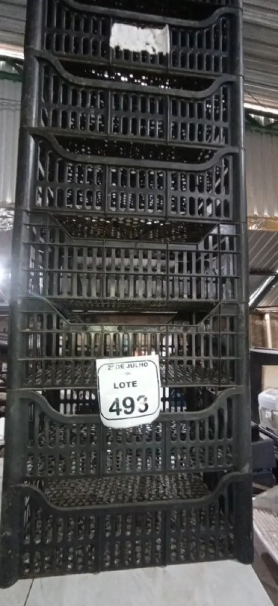 LOTE 493 - 10 CESTAS ORGANIZADORAS. (NO ESTADO) ATENÇÃO! FAZER A VISITAÇÃO ANTES DE ARREMATAR, NÃO SABEMOS SE FUNCIONA, LEILÃO NÃO TEM GARANTIA E NEM DEVOLUÇÃO, SUJEITO A POSSÍVEIS AVARIAS VISÍVEIS/OCULTAS E/OU AUSÊNCIA DE COMPONENTES.