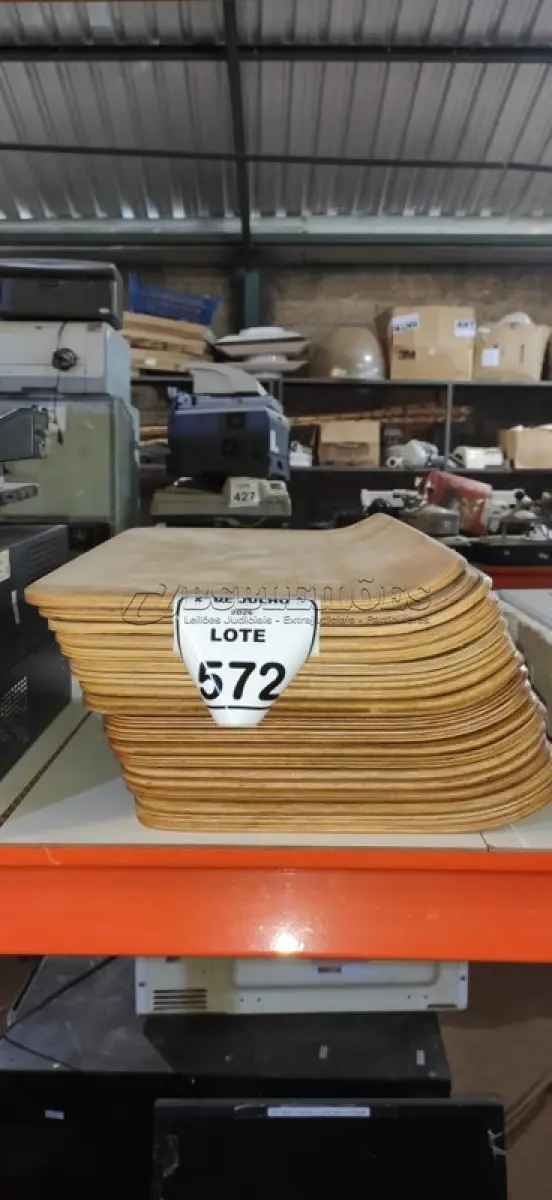 LOTE 572 - 20 PLACAS DE MADEIRA. (NO ESTADO) ATENÇÃO! FAZER A VISITAÇÃO ANTES DE ARREMATAR, NÃO SABEMOS SE FUNCIONA, LEILÃO NÃO TEM GARANTIA E NEM DEVOLUÇÃO, SUJEITO A POSSÍVEIS AVARIAS VISÍVEIS/OCULTAS E/OU AUSÊNCIA DE COMPONENTES.