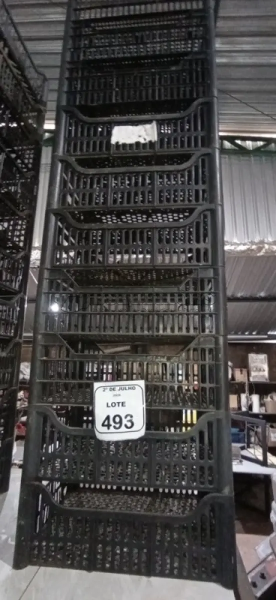 LOTE 493 - 10 CESTAS ORGANIZADORAS. (NO ESTADO) ATENÇÃO! FAZER A VISITAÇÃO ANTES DE ARREMATAR, NÃO SABEMOS SE FUNCIONA, LEILÃO NÃO TEM GARANTIA E NEM DEVOLUÇÃO, SUJEITO A POSSÍVEIS AVARIAS VISÍVEIS/OCULTAS E/OU AUSÊNCIA DE COMPONENTES.