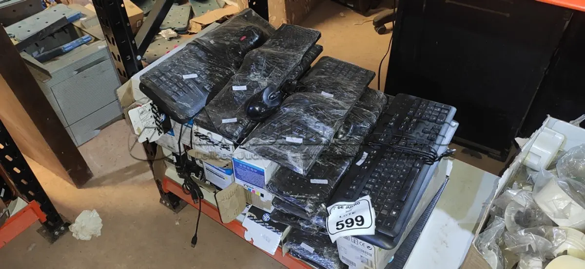 LOTE 599 - 01 LOTE COM VÁRIOS TECLADOS DE PC E TONERS DE IMPRESSORAS. (NO ESTADO) ATENÇÃO! FAZER A VISITAÇÃO ANTES DE ARREMATAR, NÃO SABEMOS SE FUNCIONA, LEILÃO NÃO TEM GARANTIA E NEM DEVOLUÇÃO, SUJEITO A POSSÍVEIS AVARIAS VISÍVEIS/OCULTAS E/OU AUSÊNCIA DE COMPONENTES.