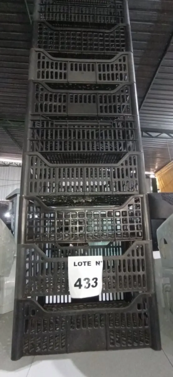 LOTE 433