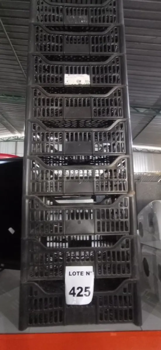 LOTE 425 - 10 CESTAS ORGANIZADORAS. (NO ESTADO) ATENÇÃO! FAZER A VISITAÇÃO ANTES DE ARREMATAR, NÃO SABEMOS SE FUNCIONA, LEILÃO NÃO TEM GARANTIA E NEM DEVOLUÇÃO, SUJEITO A POSSÍVEIS AVARIAS VISÍVEIS/OCULTAS E/OU AUSÊNCIA DE COMPONENTES.