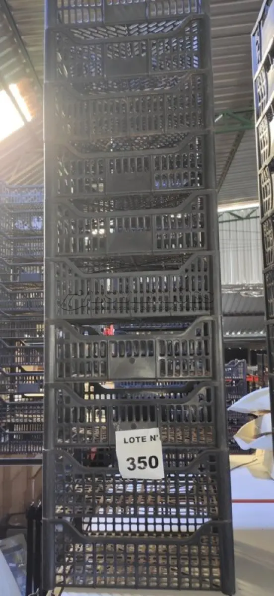 LOTE 350 - 10 CESTAS ORGANIZADORAS. (NO ESTADO) ATENÇÃO! FAZER A VISITAÇÃO ANTES DE ARREMATAR, NÃO SABEMOS SE FUNCIONA, LEILÃO NÃO TEM GARANTIA E NEM DEVOLUÇÃO, SUJEITO A POSSÍVEIS AVARIAS VISÍVEIS/OCULTAS E/OU AUSÊNCIA DE COMPONENTES.
