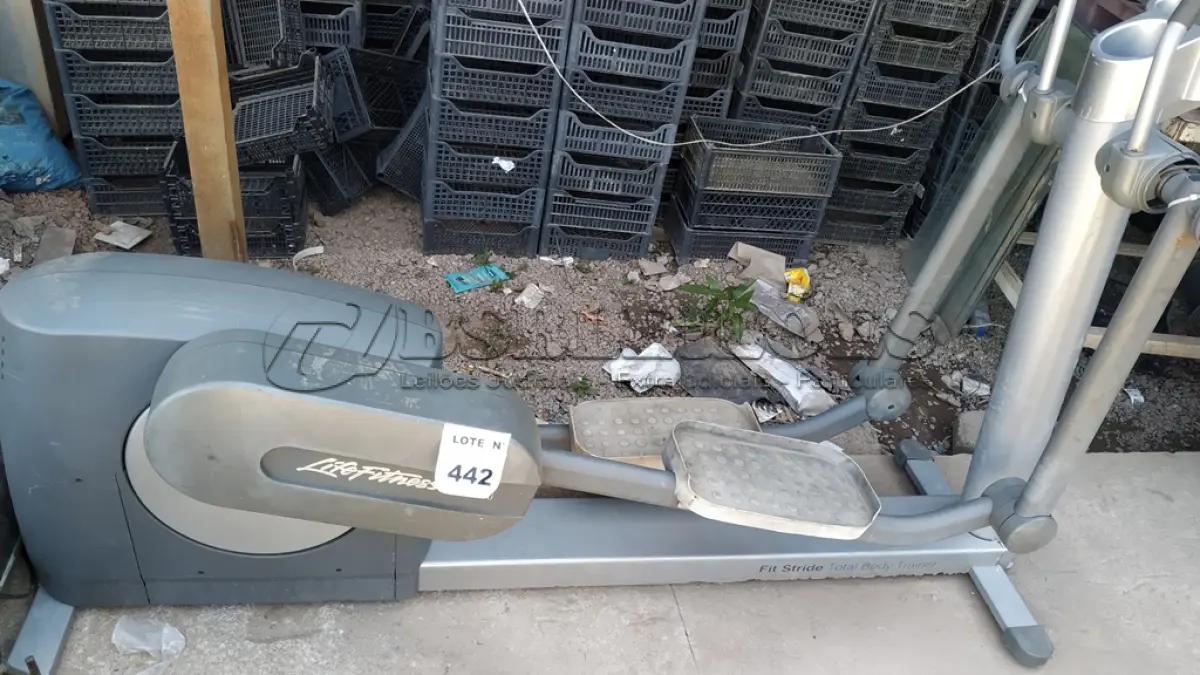 LOTE 442