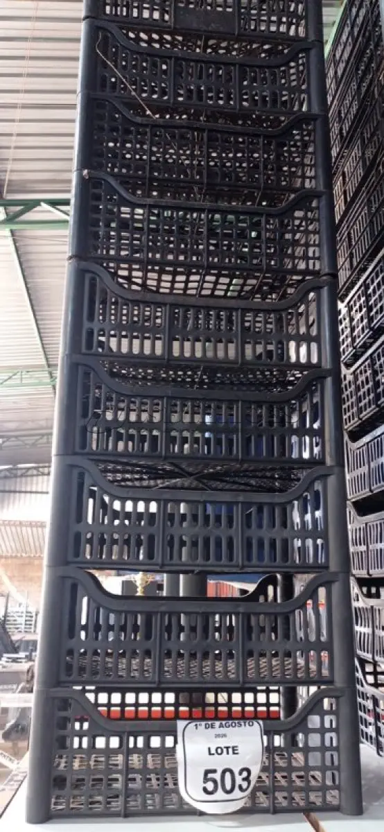 LOTE 503 - 10 CESTAS ORGANIZADORAS. (NO ESTADO) ATENÇÃO! FAZER A VISITAÇÃO ANTES DE ARREMATAR, NÃO SABEMOS SE FUNCIONA, LEILÃO NÃO TEM GARANTIA E NEM DEVOLUÇÃO, SUJEITO A POSSÍVEIS AVARIAS VISÍVEIS/OCULTAS E/OU AUSÊNCIA DE COMPONENTES.