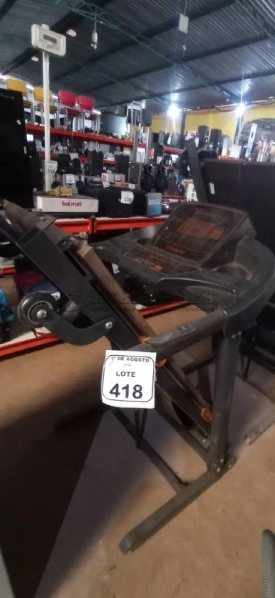 LOTE 418