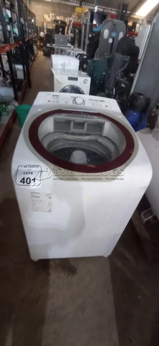 LOTE 401
