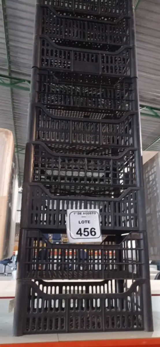 LOTE 456 - 10 CESTAS ORGANIZADORAS. (NO ESTADO) ATENÇÃO! FAZER A VISITAÇÃO ANTES DE ARREMATAR, NÃO SABEMOS SE FUNCIONA, LEILÃO NÃO TEM GARANTIA E NEM DEVOLUÇÃO, SUJEITO A POSSÍVEIS AVARIAS VISÍVEIS/OCULTAS E/OU AUSÊNCIA DE COMPONENTES.