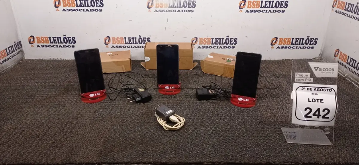 LOTE 242