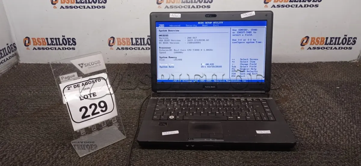 LOTE 229
