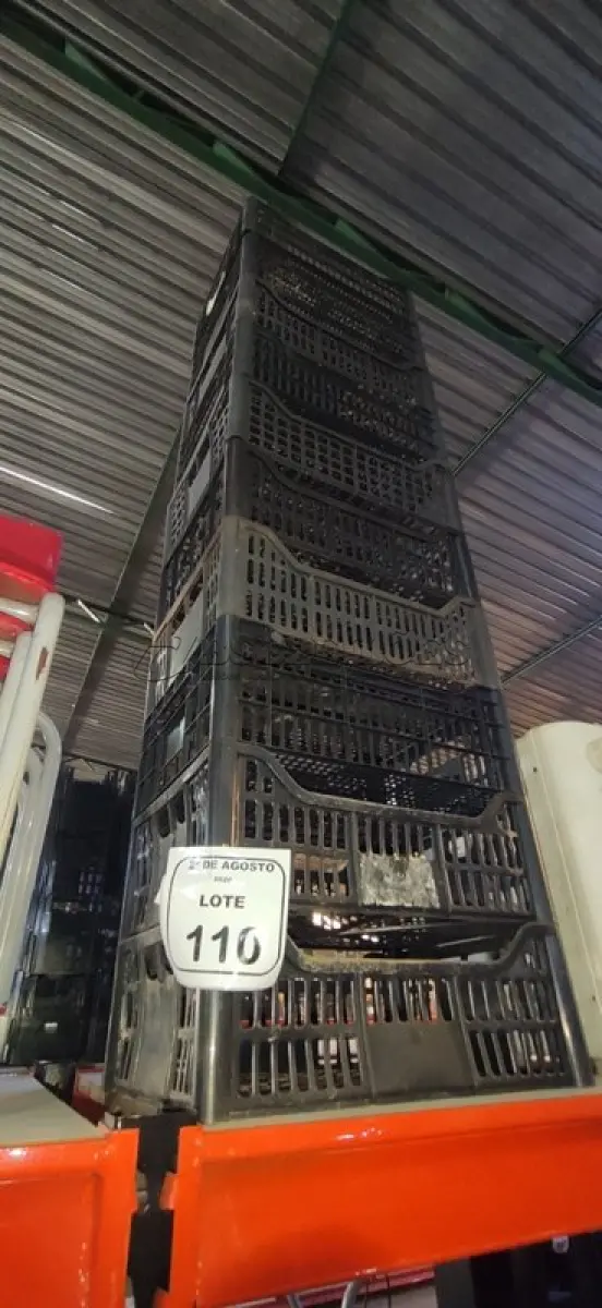 LOTE 110 - 10 CESTAS ORGANIZADORAS. (NO ESTADO) ATENÇÃO! FAZER A VISITAÇÃO ANTES DE ARREMATAR, NÃO SABEMOS SE FUNCIONA, LEILÃO NÃO TEM GARANTIA E NEM DEVOLUÇÃO, SUJEITO A POSSÍVEIS AVARIAS VISÍVEIS/OCULTAS E/OU AUSÊNCIA DE COMPONENTES.