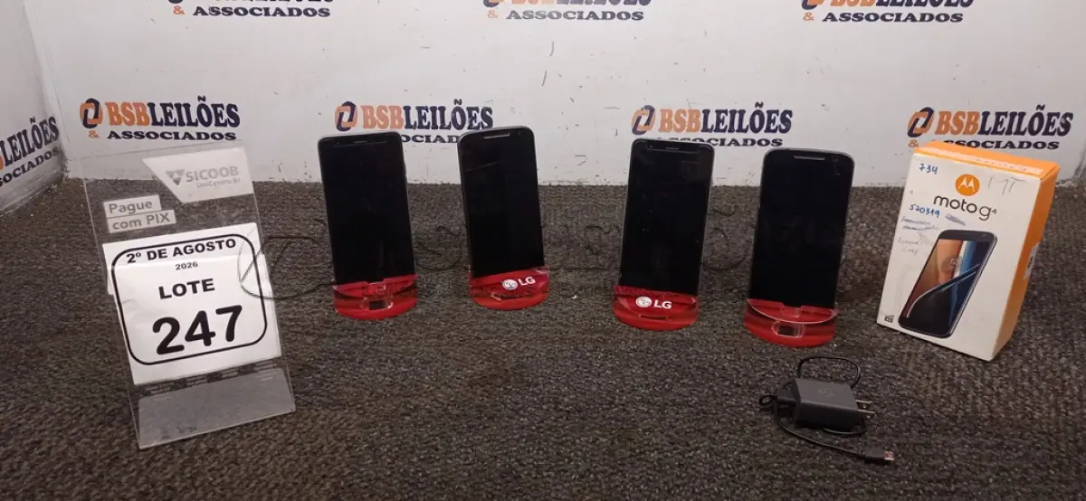 LOTE 247
