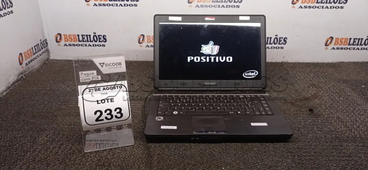 LOTE 233
