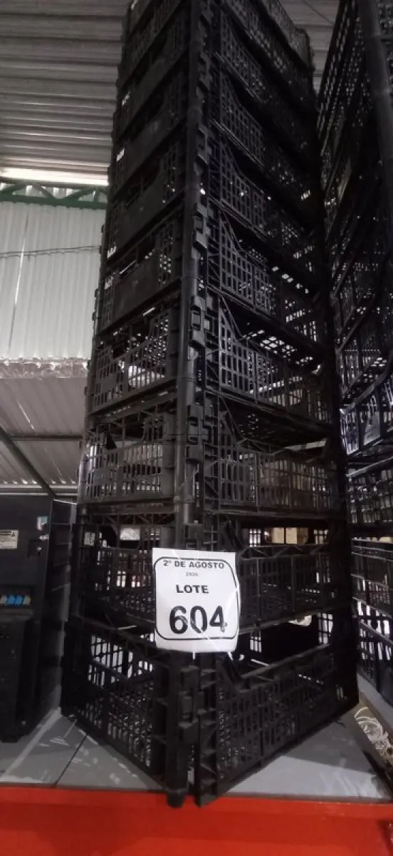 LOTE 604 - 10 CESTAS ORGANIZADORAS. (NO ESTADO) ATENÇÃO! FAZER A VISITAÇÃO ANTES DE ARREMATAR, NÃO SABEMOS SE FUNCIONA, LEILÃO NÃO TEM GARANTIA E NEM DEVOLUÇÃO, SUJEITO A POSSÍVEIS AVARIAS VISÍVEIS/OCULTAS E/OU AUSÊNCIA DE COMPONENTES.