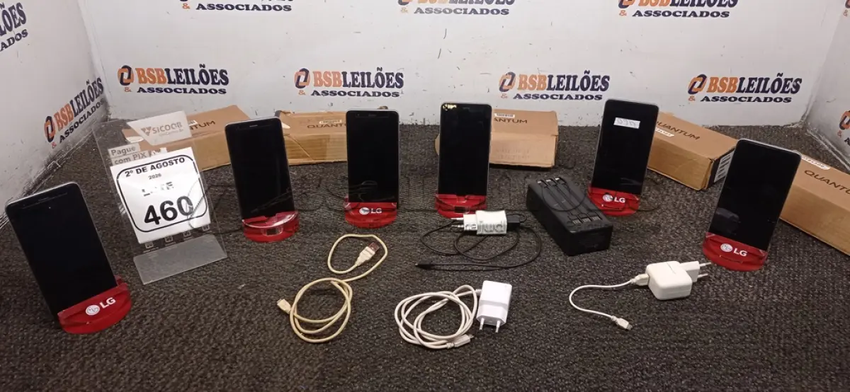LOTE 460