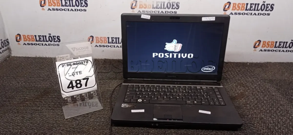 LOTE 487