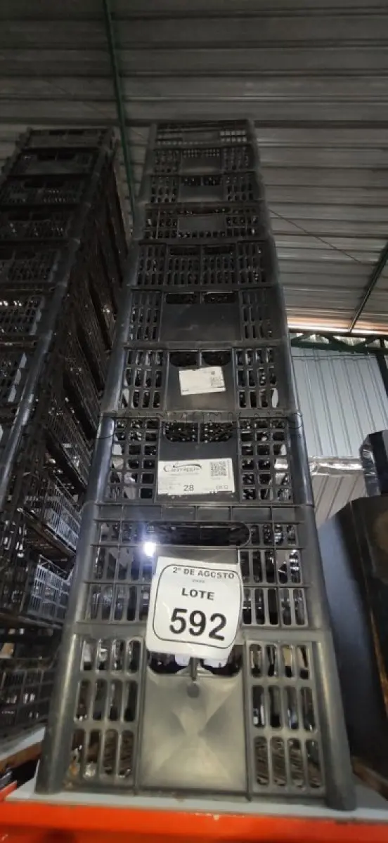 LOTE 592 - 10 CESTAS ORGANIZADORAS. (NO ESTADO) ATENÇÃO! FAZER A VISITAÇÃO ANTES DE ARREMATAR, NÃO SABEMOS SE FUNCIONA, LEILÃO NÃO TEM GARANTIA E NEM DEVOLUÇÃO, SUJEITO A POSSÍVEIS AVARIAS VISÍVEIS/OCULTAS E/OU AUSÊNCIA DE COMPONENTES.