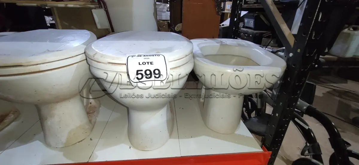 LOTE 599 - 03 VASOS SANITÁRIOS. (NO ESTADO) ATENÇÃO! FAZER A VISITAÇÃO ANTES DE ARREMATAR, NÃO SABEMOS SE FUNCIONA, LEILÃO NÃO TEM GARANTIA E NEM DEVOLUÇÃO, SUJEITO A POSSÍVEIS AVARIAS VISÍVEIS/OCULTAS E/OU AUSÊNCIA DE COMPONENTES.