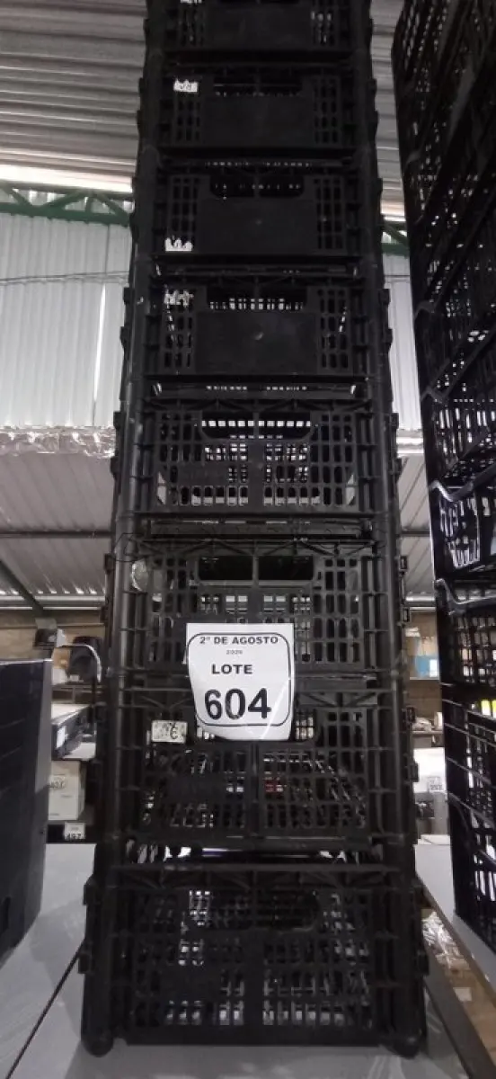LOTE 604 - 10 CESTAS ORGANIZADORAS. (NO ESTADO) ATENÇÃO! FAZER A VISITAÇÃO ANTES DE ARREMATAR, NÃO SABEMOS SE FUNCIONA, LEILÃO NÃO TEM GARANTIA E NEM DEVOLUÇÃO, SUJEITO A POSSÍVEIS AVARIAS VISÍVEIS/OCULTAS E/OU AUSÊNCIA DE COMPONENTES.