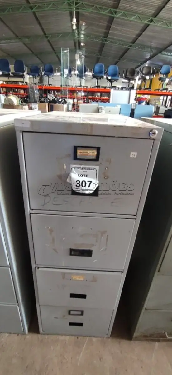 LOTE 307
