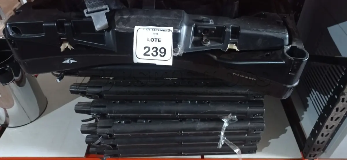 LOTE 239