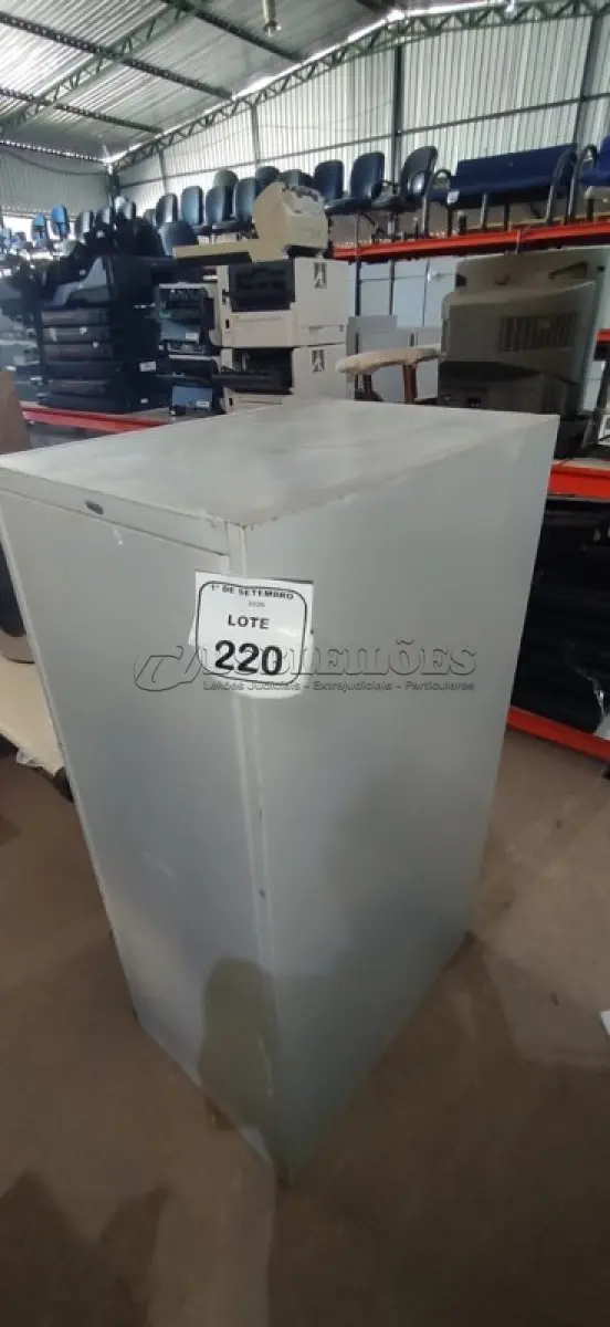 LOTE 220 - 01 ARQUIVO COM 04 GAVETAS EM AÇO. (NO ESTADO) ATENÇÃO! FAZER A VISITAÇÃO ANTES DE ARREMATAR, NÃO SABEMOS SE FUNCIONA, LEILÃO NÃO TEM GARANTIA E NEM DEVOLUÇÃO, SUJEITO A POSSÍVEIS AVARIAS VISÍVEIS/OCULTAS E/OU AUSÊNCIA DE COMPONENTES.